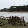 L'estuaire du Payré et ses marais à Talmont