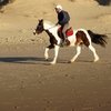 Cavalier sur la plage de Sauveterre d'Olonne sur mer