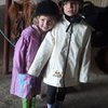Centre Equestre Poney club de Bellenoue Chateau d'Olonne