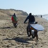 Promenade de Novembre sur la plage de Sauveterre