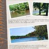 Randonnée lac de finfarine / poiroux (Vendée)