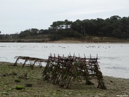L'estuaire du Payré et ses marais à Talmont