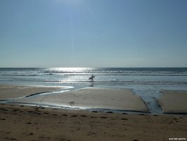 Eté indien sur plage de sauveterre d'olonne sur mer 