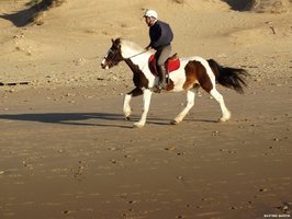 Cavalier sur la plage de Sauveterre d'Olonne sur mer