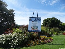 Serres municipales Les Sables d'Olonne : critérium du dahlia