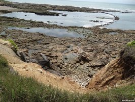 Les écluses à poissons du château d'Olonne