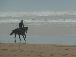 Loisirs sur la plage de Brem sur mer
