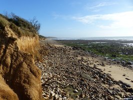 Promenade à Jard sur mer sur la pointe du Payré
